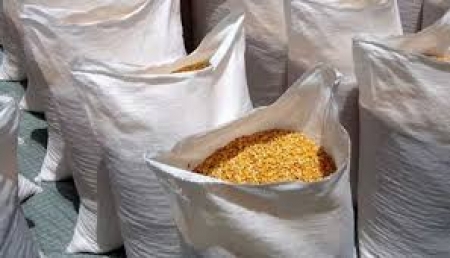 Troca-Troca: Sindicato recebeu 2.800 sacos de milho para distribuir a seus associados