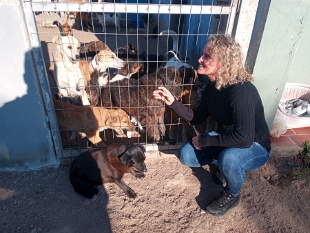Vereadora Fabiane (PSB) propõe criação da Semana Municipal de Combate aos maus tratos e abandono de animais