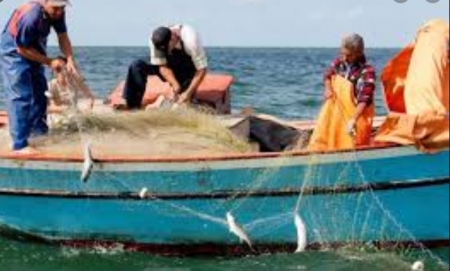 Pescador artesanal poderá apresentar protocolo de requerimento do registro para ter acesso a financiamentos