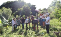 FURG São Lourenço do Sul sedia evento nacional sobre hortaliças não convencionais em abril