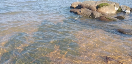 Lagoa dos Patos está com água transparente