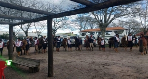 Cavalos Crioulos: Freio do Proprietário e Freio Jovem reuniram 47 cavalos em São Lourenço do Sul da última etapa para o Ciclo 2018