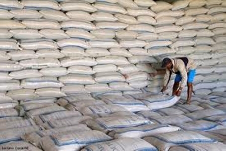 Valor da saca do arroz caiu 12% em junho