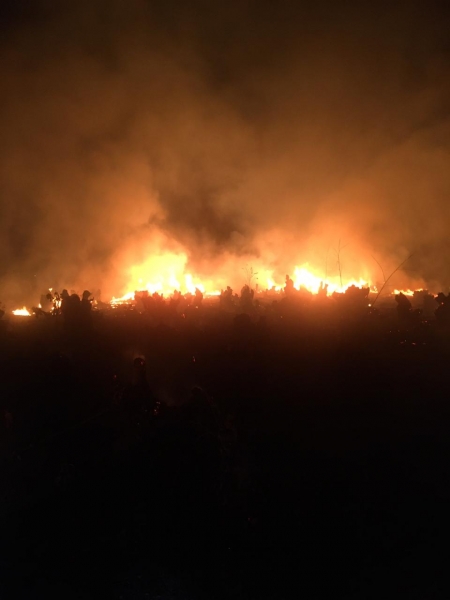 Corpo de Bombeiros controlou incêndio em mato de eucalipto no bairro Nova Esperança