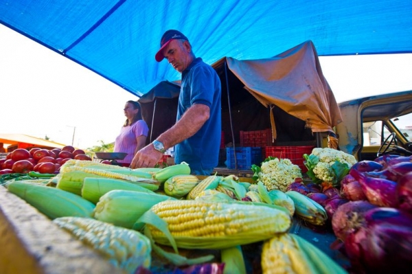 Feira Livre de São Lourenço do Sul é um tradicional ponto de comercialização de produtos orgânicos e agroecológicos