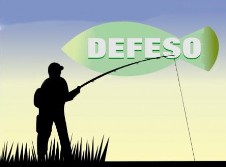 Seguro Defeso do Pescador Artesanal passou a ser automático