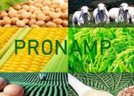 Novos recursos do Pronampe estão disponíveis