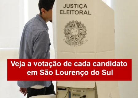 Veja a votação de cada candidato em São Lourenço do Sul