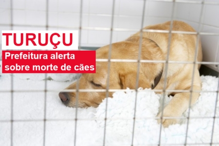 TURUÇU: Prefeitura alerta  sobre morte de cães