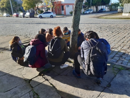 Intervenção urbana chama atenção para a presença de plantas silvestres em São Lourenço do Sul