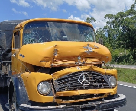 Colisão traseira entre dois caminhões na BR 116 em São Lourenço do Sul