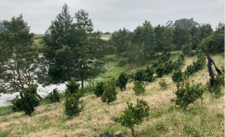Estudantes da FURG-SLS participam de saída de campo sobre uso, manejo e conservação do solo