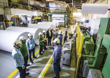 EMPREGO - Celulose e papel: oportunidade de crescer