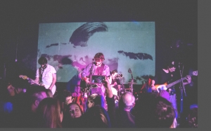 the woods em pelotas