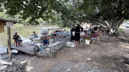 Safra do camarão ainda é fraca em São Lourenço do Sul