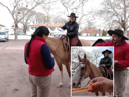 Colocação das pulseiras dos cavalos e liberação de documentação iniciam nesta sexta-feira (15)