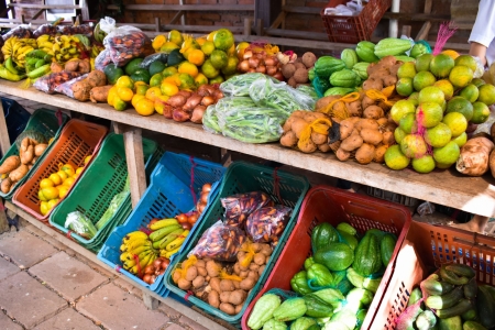 Semana do Alimento Orgânico começa hoje com atividades em toda a região