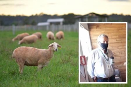 Senar: São Lourenço possui um  grupo de ovinos e outro de leite