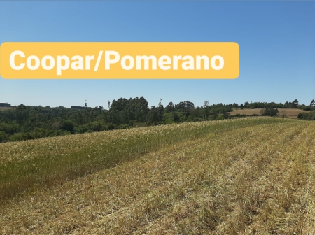 COOPAR/POMERANO E A DIVERSIDADE DE CULTURAS TRITICALE – MILHO DE INVERNO
