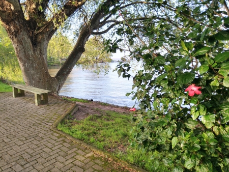 Primeiro dia da Primavera inicia com sol em São Lourenço do Sul