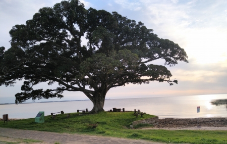 Semana inicia com sol em São Lourenço do Sul