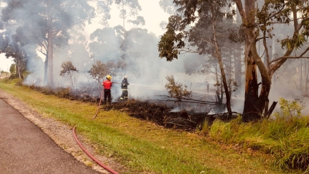 Corpo de Bombeiros de SLS atendeu ocorrências de incêndio florestal às margens da BR 116