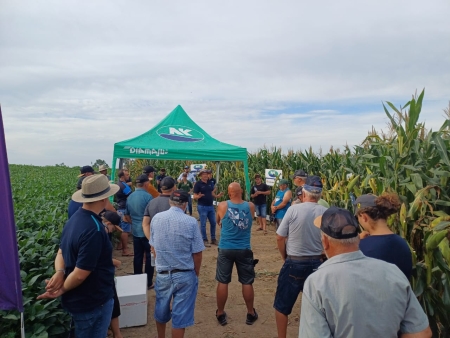 COOPAR/POMERANO realizou Dia de Campo