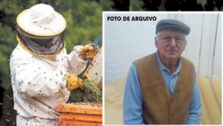 Como foi a última safra de mel em São Lourenço do Sul?