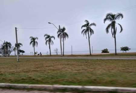 Quarta-feira amanheceu com neblina mas sol deve aparecer durante o dia