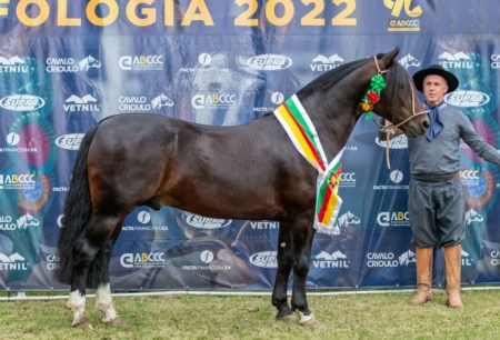 Cavalo de São Lourenço se classifica para a Expointer 2022 em Passaporte Morfologia realizado em Jaguarão