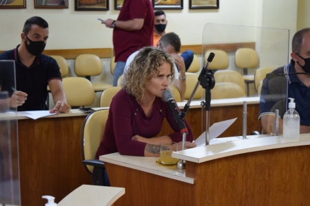 Projeto de Lei de autoria da vereadora Fabiane Peglow (PSB) que Cria o Observatório de Violência Contra a Mulher é aprovado na Câmara Municipal