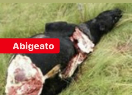 Abigeato em propriedade do Boqueirão