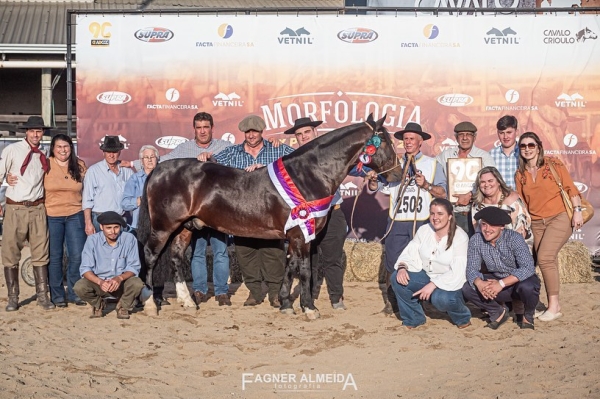 Cavalo de São Lourenço do Sul foi premiado na final da Morfologia Expointer 2022