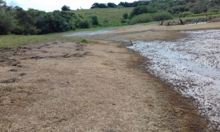 São Lourenço do Sul deverá decretar Situação de Emergência