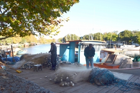 Pescadores da Z-8 e de outras colônias continuam sem receber o “defeso”