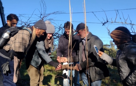 Estudantes de Agroecologia têm aula sobre manejo de suínos em propriedade agroflorestal de Pelotas