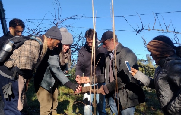 Estudantes de Agroecologia têm aula sobre manejo de suínos em propriedade agroflorestal de Pelotas