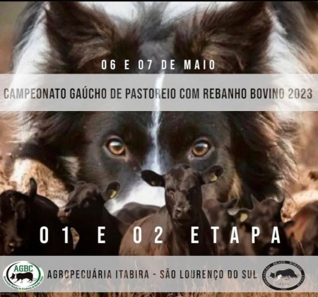 Campeonato Gaúcho de Cães de Pastoreio acontece em São Lourenço neste final de semana