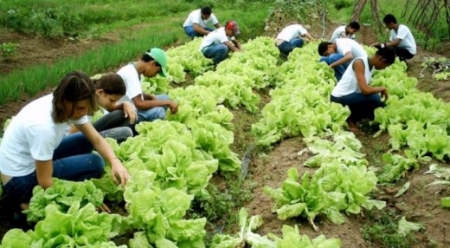 Prazo para aderir ao Bolsa Juventude Rural foi prorrogado