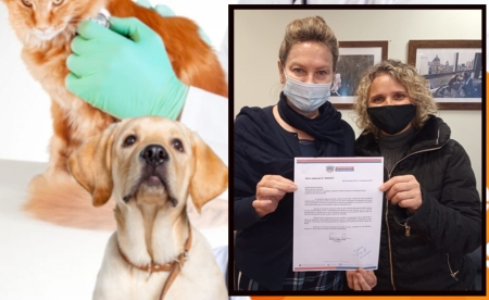 Vereadora Fabiane (PSB) conquista o valor de R$ 25mil para castrações através do Programa Estadual Melhores Amigos