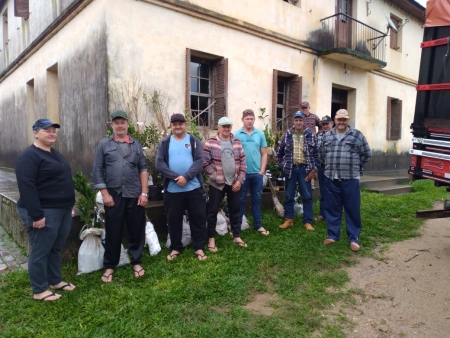 Emater realizou campanha de encomendas de árvores frutíferas, ornamentais e energéticas