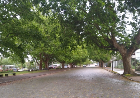 Tempo: São Lourenço amanheceu com chuva nesta sexta-feira