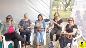 associação dos artistas plásticos de são lourenço do sul