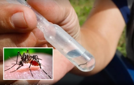 DENGUE: Secretária de Saúde afirmou que não há casos registrados em São Lourenço