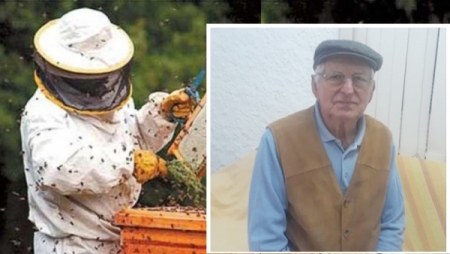 Apicultura em São Lourenço não foi atingida